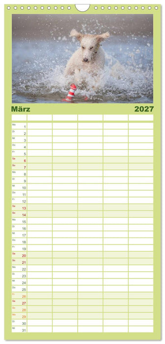 POWERHUNDE 2027 (CALVENDO Familienplaner 2027)