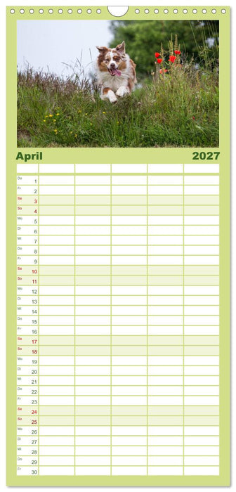POWERHUNDE 2027 (CALVENDO Familienplaner 2027)
