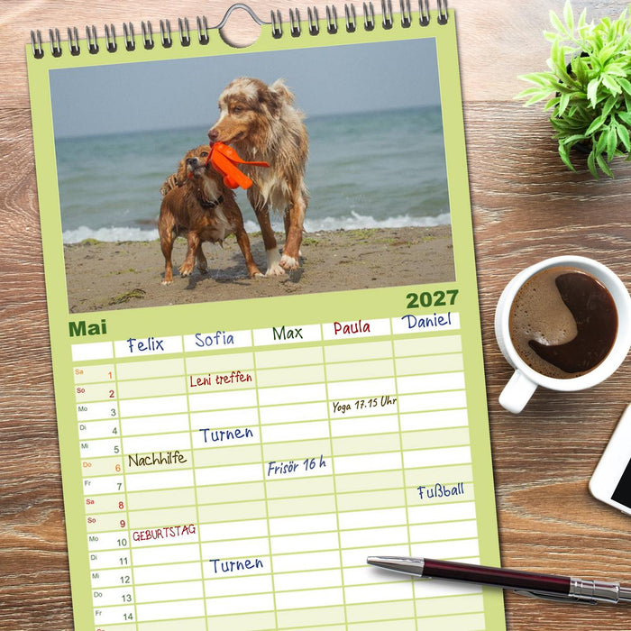POWERHUNDE 2027 (CALVENDO Familienplaner 2027)