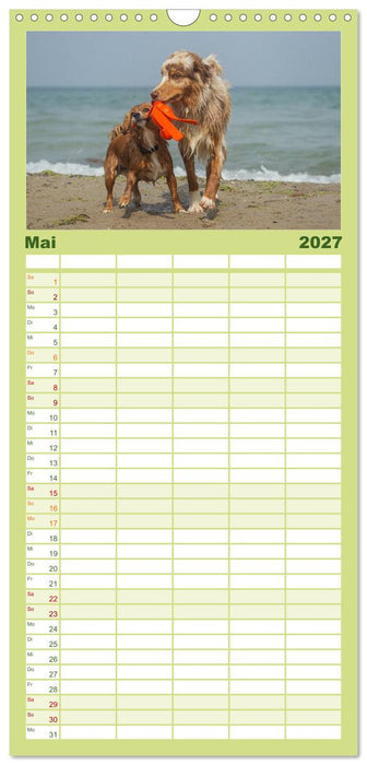 POWERHUNDE 2027 (CALVENDO Familienplaner 2027)