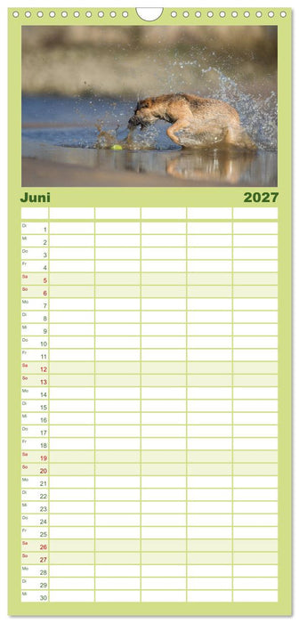 POWERHUNDE 2027 (CALVENDO Familienplaner 2027)