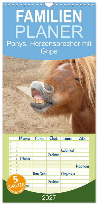 Ponys. Herzensbrecher mit Grips (CALVENDO Familienplaner 2027)