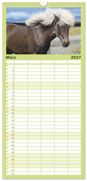 Ponys. Herzensbrecher mit Grips (CALVENDO Familienplaner 2027)