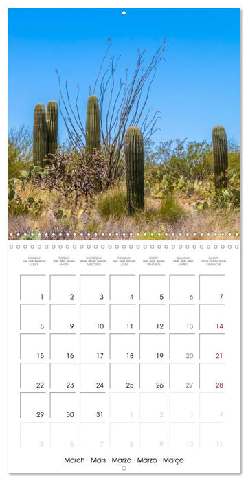 SAGUARO NATIONAL PARK Arizona desert impressions (CALVENDO Monthly Calendar 2027)