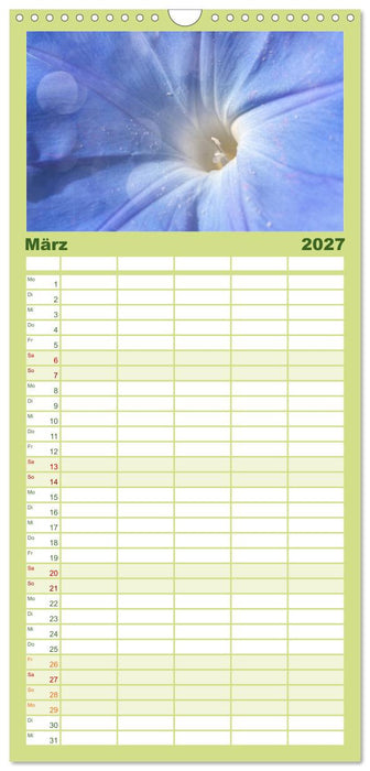 12 Farben Kunst und Küche (CALVENDO Familienplaner 2027)
