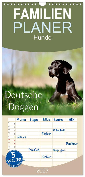 Deutsche Doggen / Geburtstagskalender (CALVENDO Familienplaner 2027)