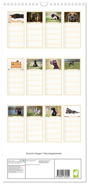 Deutsche Doggen / Geburtstagskalender (CALVENDO Familienplaner 2027)