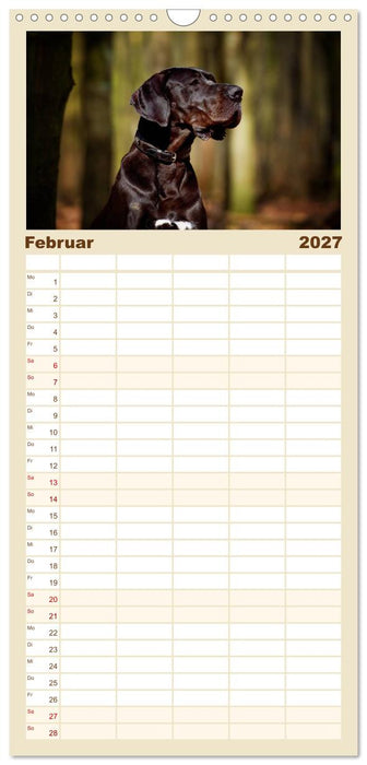 Deutsche Doggen / Geburtstagskalender (CALVENDO Familienplaner 2027)
