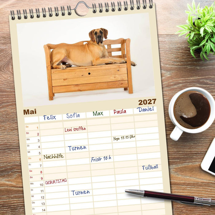 Deutsche Doggen / Geburtstagskalender (CALVENDO Familienplaner 2027)