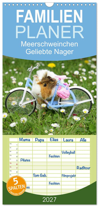Meerschweinchen. Geliebte Nager (CALVENDO Familienplaner 2027)