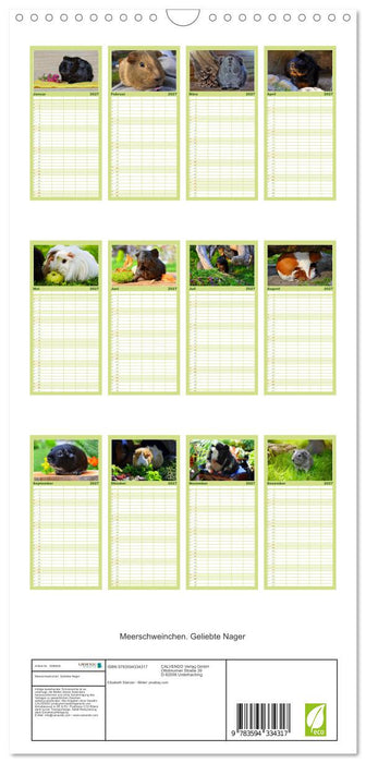 Meerschweinchen. Geliebte Nager (CALVENDO Familienplaner 2027)