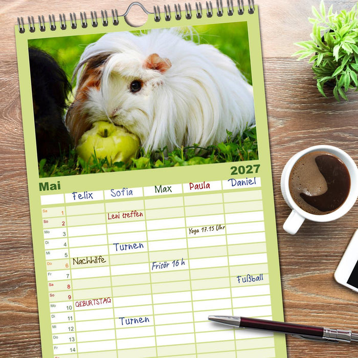 Meerschweinchen. Geliebte Nager (CALVENDO Familienplaner 2027)