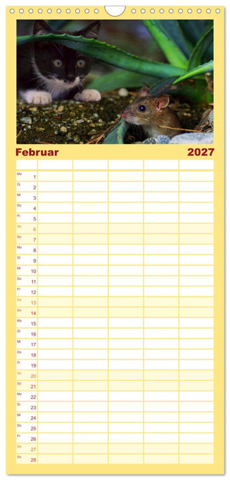 Mausige Zeiten! Putzige Gesellen mit Knopfaugen (CALVENDO Familienplaner 2027)