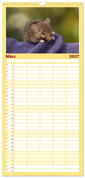 Mausige Zeiten! Putzige Gesellen mit Knopfaugen (CALVENDO Familienplaner 2027)