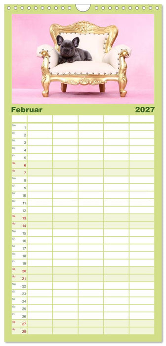Der Bully - Kalender Familienplaner hoch (CALVENDO Familienplaner 2027)