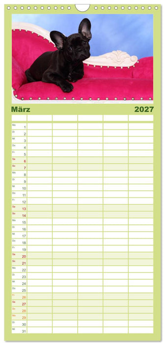 Der Bully - Kalender Familienplaner hoch (CALVENDO Familienplaner 2027)