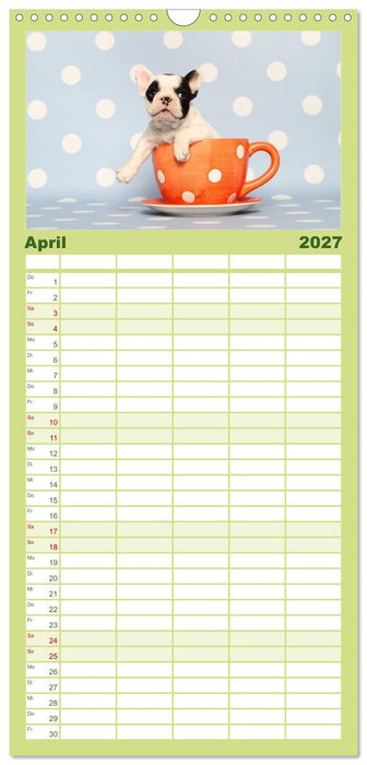 Der Bully - Kalender Familienplaner hoch (CALVENDO Familienplaner 2027)