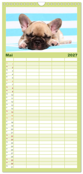 Der Bully - Kalender Familienplaner hoch (CALVENDO Familienplaner 2027)