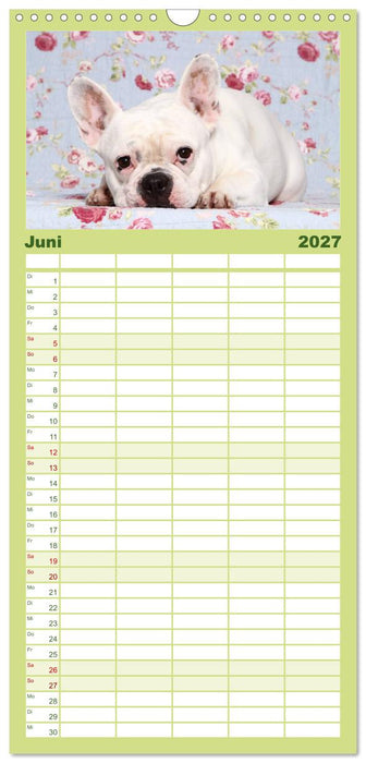 Der Bully - Kalender Familienplaner hoch (CALVENDO Familienplaner 2027)