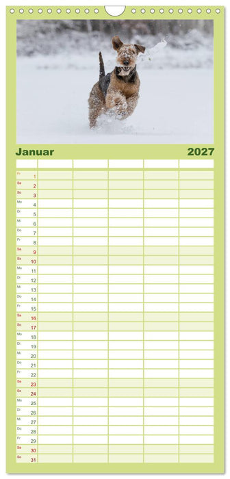 Airedale-Terrier, was sonst! (CALVENDO Familienplaner 2027)