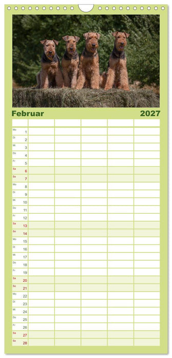 Airedale-Terrier, was sonst! (CALVENDO Familienplaner 2027)