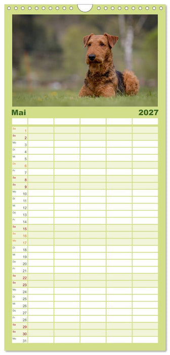 Airedale-Terrier, was sonst! (CALVENDO Familienplaner 2027)