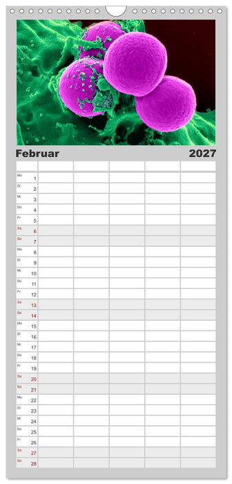 Mikrobiologie. Mikroorganismen und Zellen (CALVENDO Familienplaner 2027)