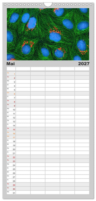 Mikrobiologie. Mikroorganismen und Zellen (CALVENDO Familienplaner 2027)