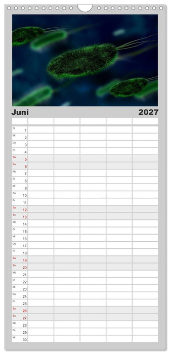 Mikrobiologie. Mikroorganismen und Zellen (CALVENDO Familienplaner 2027)