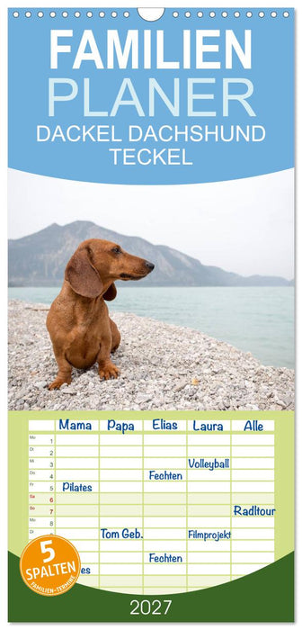 DACKEL DACHSHUND TECKEL 2027 (CALVENDO Familienplaner 2027)