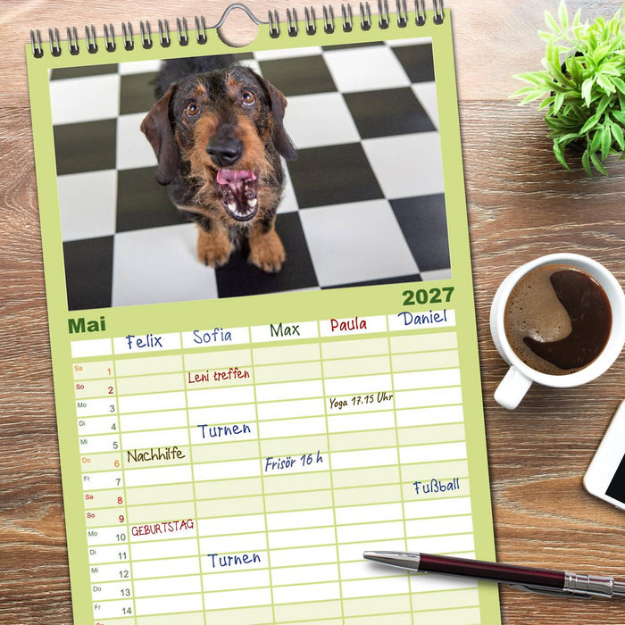 DACKEL DACHSHUND TECKEL 2027 (CALVENDO Familienplaner 2027)