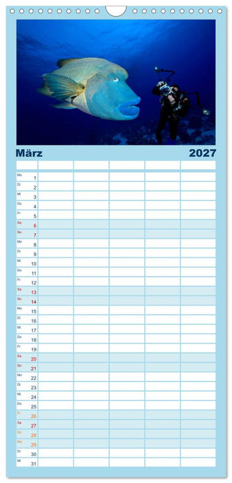 Tauchen im Roten Meer 2027 (CALVENDO Familienplaner 2027)