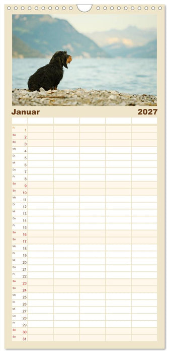 Die Dackel daggeln.... (CALVENDO Familienplaner 2027)
