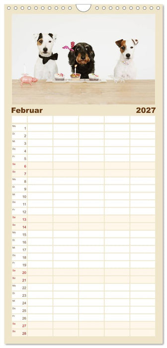 Die Dackel daggeln.... (CALVENDO Familienplaner 2027)