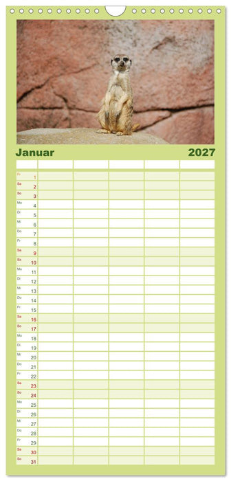 Erdmännchen (CALVENDO Familienplaner 2027)