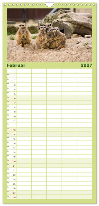 Erdmännchen (CALVENDO Familienplaner 2027)