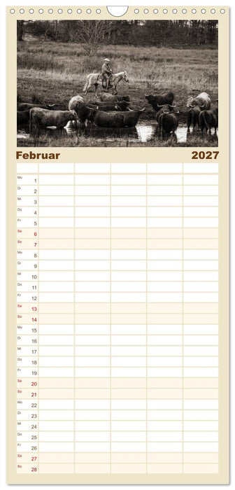 Westernreiten (CALVENDO Familienplaner 2027)