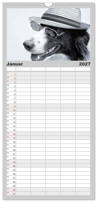 Hütehunde (CALVENDO Familienplaner 2027)