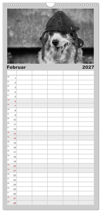 Hütehunde (CALVENDO Familienplaner 2027)