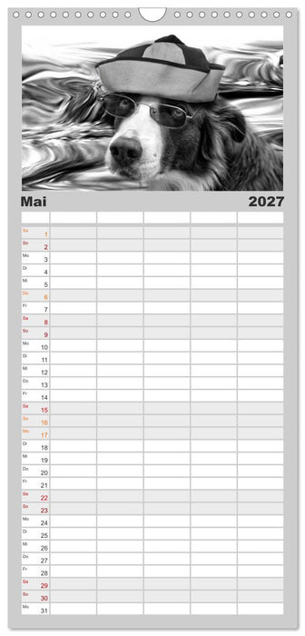 Hütehunde (CALVENDO Familienplaner 2027)