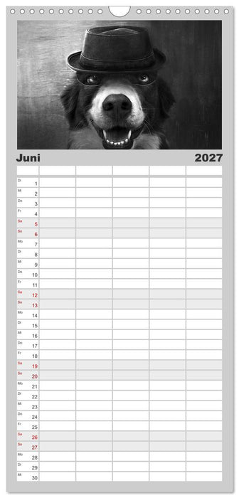 Hütehunde (CALVENDO Familienplaner 2027)