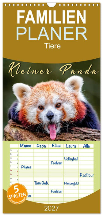 Kleiner Panda (CALVENDO Familienplaner 2027)