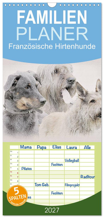 Französische Hirtenhunde 2027 (CALVENDO Familienplaner 2027)
