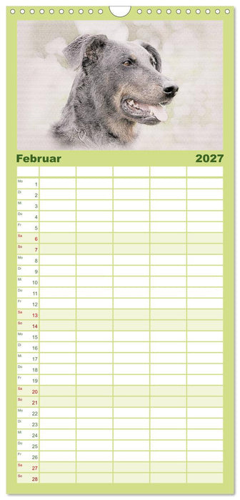 Französische Hirtenhunde 2027 (CALVENDO Familienplaner 2027)