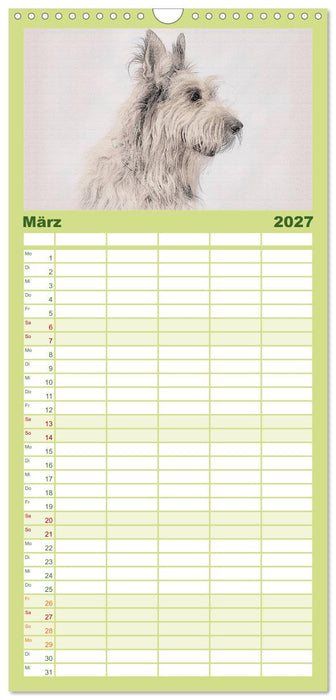 Französische Hirtenhunde 2027 (CALVENDO Familienplaner 2027)