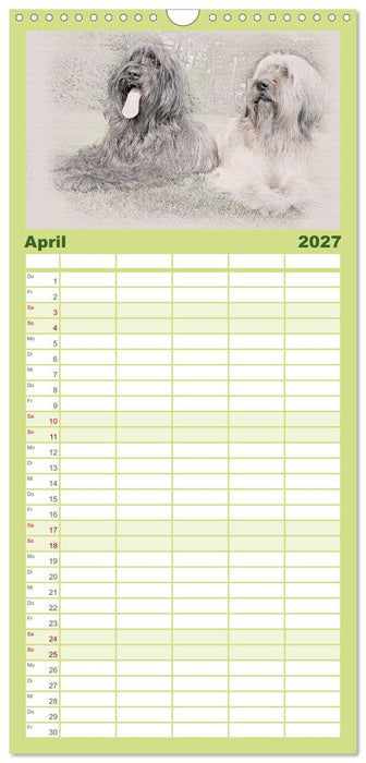 Französische Hirtenhunde 2027 (CALVENDO Familienplaner 2027)