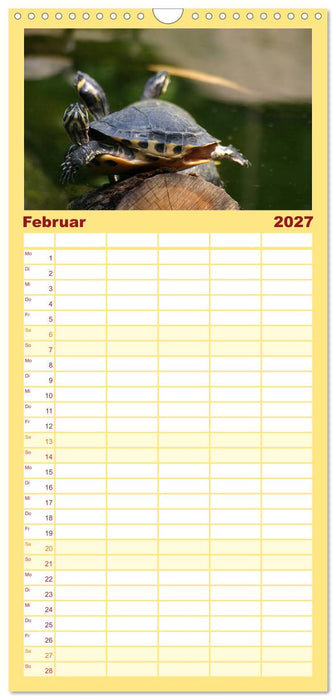 Schildkröten - Gepanzerte Urzeitwesen (CALVENDO Familienplaner 2027)