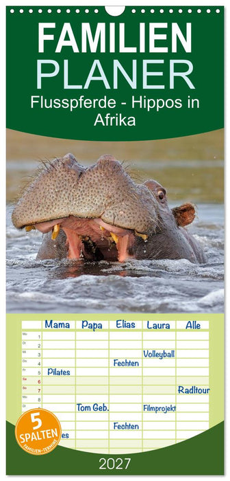 Flusspferde Magie des Augenblicks - Hippos in Afrika (CALVENDO Familienplaner 2027)