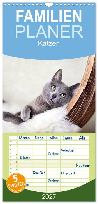 Katzen (CALVENDO Familienplaner 2027)