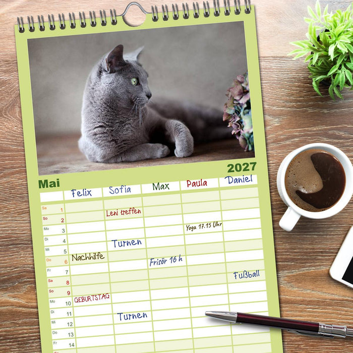Katzen (CALVENDO Familienplaner 2027)